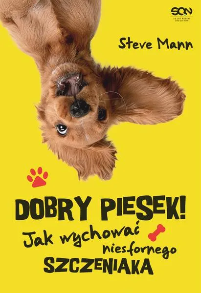 Dobry piesek horror
