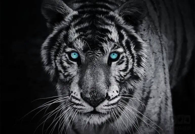 Kultowy Sopot lat 80-tych