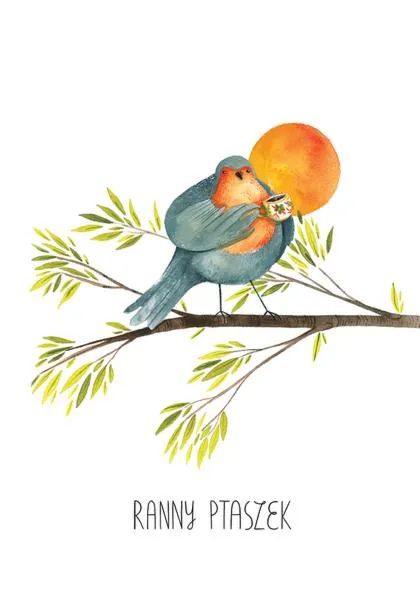 Liczba odcinków Ranny ptaszek