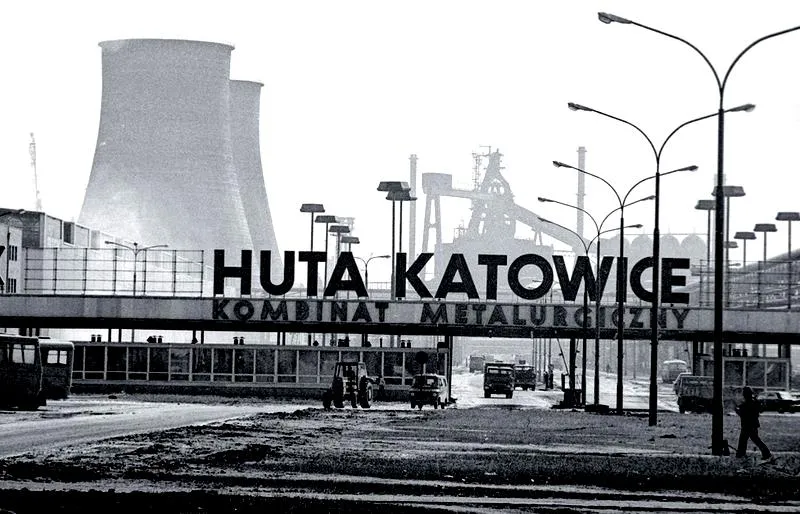 Transformacje aktorskie Michała Koterskiego