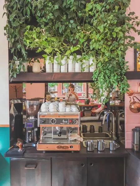 Twórcy serialu Ranny ptaszek