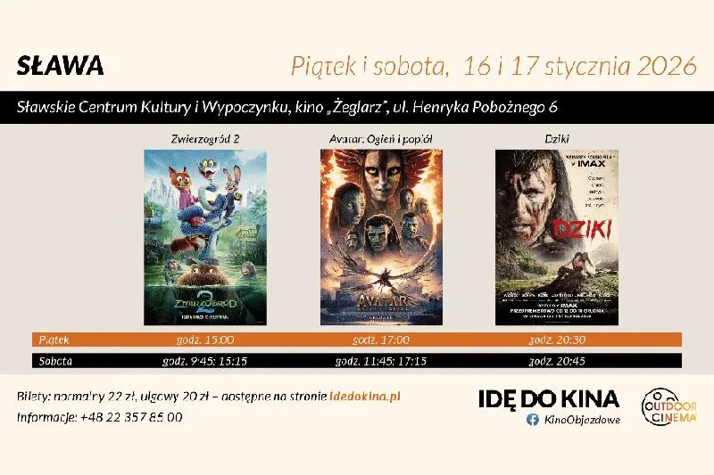 Wakacje zamknięte kina